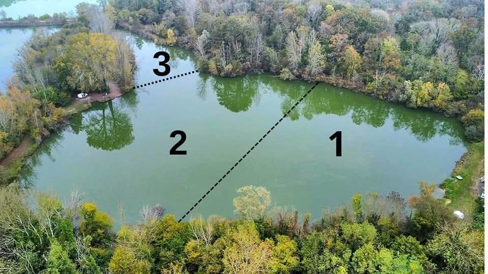 Carp & Wild Spécimen
